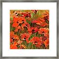 Poppies In The Field Framed Print