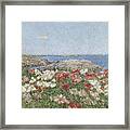 Poppies On The Isles Of Shoals, 1890 Framed Print