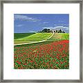 Poppy Field In Tuscany Framed Print
