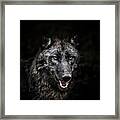Portrait Of Wolf In Forest Framed Print