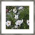 Posies In The Royal Park Framed Print