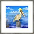 Posted Pelican #2 Dark Framed Print