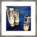 Posts In Water Framed Print