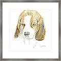Pound Puppy - Watercolor Framed Print