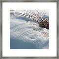 Prairie Grass In Snow Framed Print