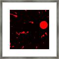Preconception Red Framed Print