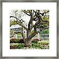 - Prescott Tree With House Framed Print
