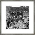 Prisoners Along The Bataan Death March Framed Print