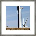 Pronghorn And Turbines Framed Print