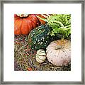 Pumpkin Party Framed Print