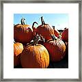 Pumpkin Pie Supplies Or Jack O' Lanterns Framed Print