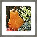 Pumpkin Power Framed Print