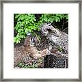 Punch To Face Slow You Down Framed Print