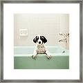 Puppy In Bathtub Framed Print