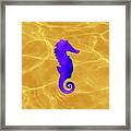 Purple Seahorse Fantasy Framed Print