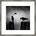 Quoth The Raven Framed Print