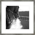 Race Horse Galloping Framed Print