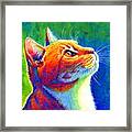 Anticipation - Psychedelic Rainbow Tabby Cat Framed Print