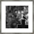 Rainy Day On Cemetery Framed Print