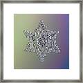 Real Snowflake - 05-feb-2018 - 15 Alt Framed Print