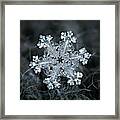 Real Snowflake - 26-dec-2018 - 1 Framed Print