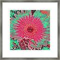 Red And Green Bloom Framed Print