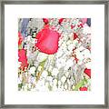 Red And White Flowers Pastel Framed Print