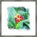 Red And Yellow Flowers Framed Print