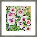 Red Centered Hollyhocks Framed Print