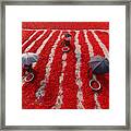 Red Chilies Framed Print