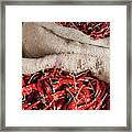 Red Chilli Framed Print