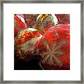 Red Christmas Balls Framed Print