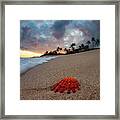 Red Dawn Framed Print