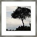 Red Deer Stag And A Holm Oak Tree Silhouetted, Parque Framed Print