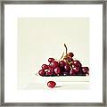 Red Grapes On White Plate Framed Print