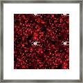 Red Spider Bokeh Pattern Framed Print