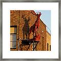 Red Stag Shadow Framed Print