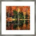 Reflection Of Fall Foliage Framed Print