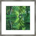 Reflection Of Trees In The Spreewald Framed Print
