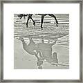 Reflections In Dressage Framed Print