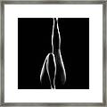 Reflections Of D'nell 7 Framed Print