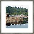 Reflections Of Kalaloch Lodge In Olympic National Park Framed Print