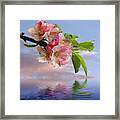 Reflections Of Spring At Apple Blossom Time - Square Framed Print