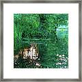 Reflections Of The Evening Sun In The Spreewald Framed Print