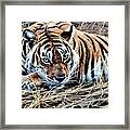 Resting Tiger By Alan M Hunt Framed Print