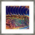 Reverberations Framed Print