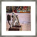 Ride The Zebra At The Penny Arcade Framed Print