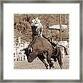 Rider About To Fall Off Bucking Bull Framed Print