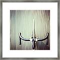 Riding  Bicycle Framed Print