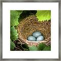 Robin Egg Blues Framed Print